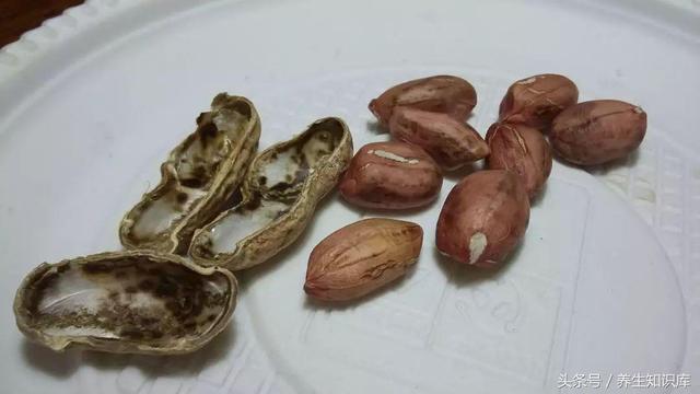肝不好，遠離「三物」，多吃「四綠」，做好五件事，肝會慢慢變好