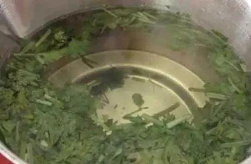 清水煮一煮，排出腎臟十年毒