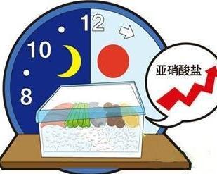 28歲男子食用隔夜菜患上「急性腎衰竭」，食物殺手再次敲響警鐘