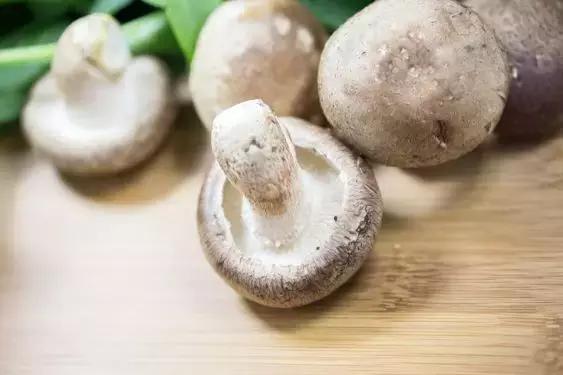 藥補不如食補，日常蔬菜功效一覽表！