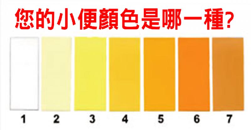 如廁後別急著沖水！「小便」健康學問大，肝腎疾病、糖尿病自己來判斷 