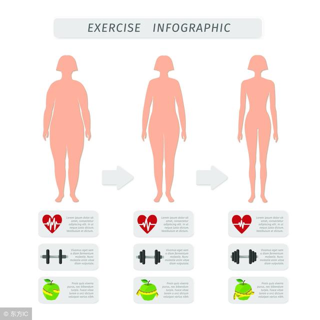 身體基本指數全面看：體脂率、BMI、基礎代謝率