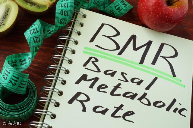 身體基本指數全面看：體脂率、BMI、基礎代謝率