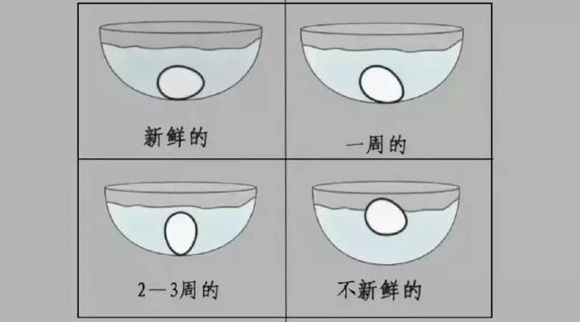 新發現！吃蛋再也不用扔蛋黃了！這樣吃，無須擔心高膽固醇