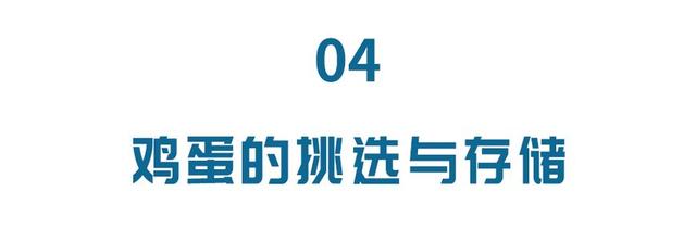 新發現！吃蛋再也不用扔蛋黃了！這樣吃，無須擔心高膽固醇