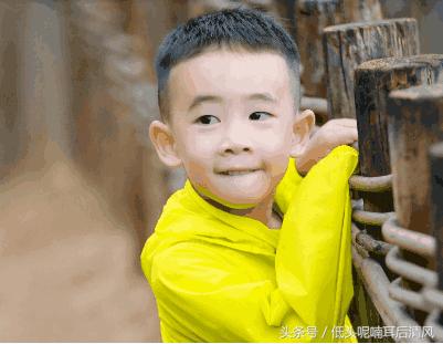 謝娜太愛jasper! 質問采兒憑什麼生個暖男？采兒的回答不愧是親媽