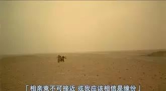 看了20多年《大話西遊》，竟不知道豬八戒是朱茵演的！