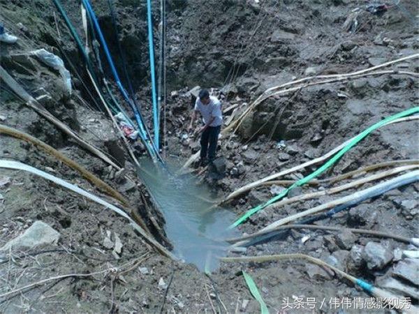 兒子下湖摸魚被淹死，母親湖邊枯坐一夜，第二天抽干湖水直接報警