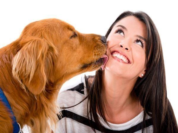 狗狗為什麼一直舔爪子？舔地板？舔主人呢