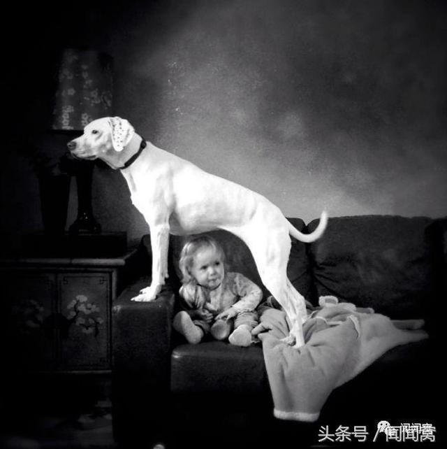 狗狗慘遭虐待，封閉自己……直到遇見她對Ta說：孩子別怕，帶你回家