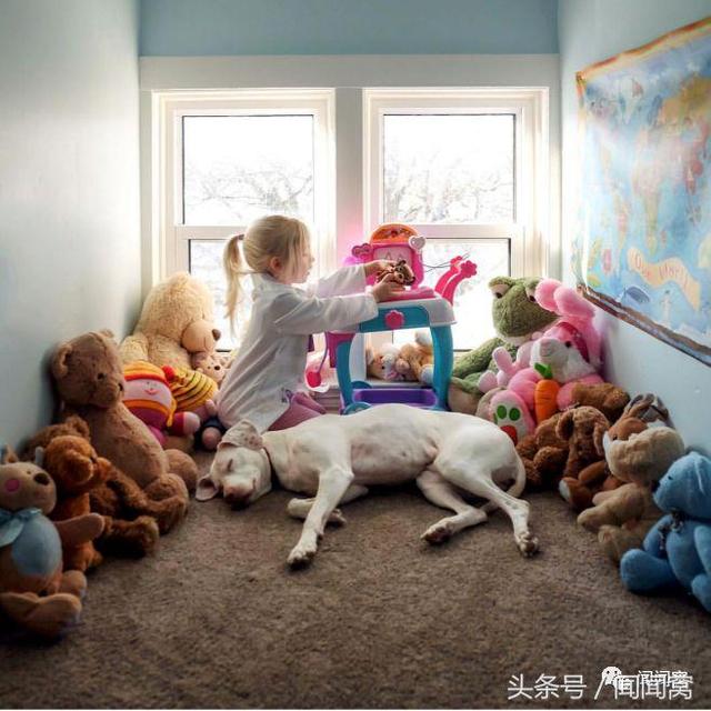 狗狗慘遭虐待，封閉自己……直到遇見她對Ta說：孩子別怕，帶你回家