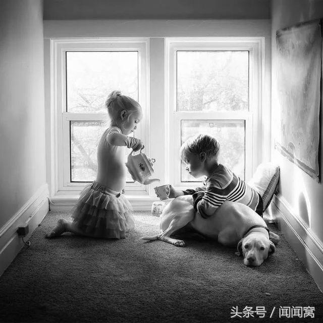狗狗慘遭虐待，封閉自己……直到遇見她對Ta說：孩子別怕，帶你回家