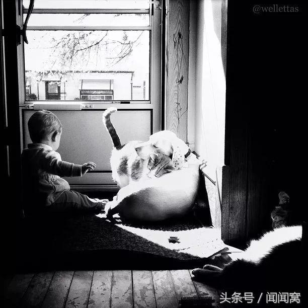 狗狗慘遭虐待，封閉自己……直到遇見她對Ta說：孩子別怕，帶你回家