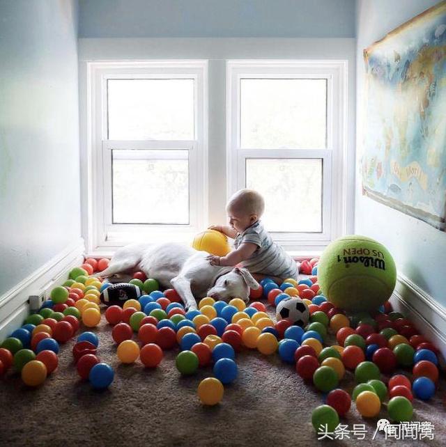 狗狗慘遭虐待，封閉自己……直到遇見她對Ta說：孩子別怕，帶你回家