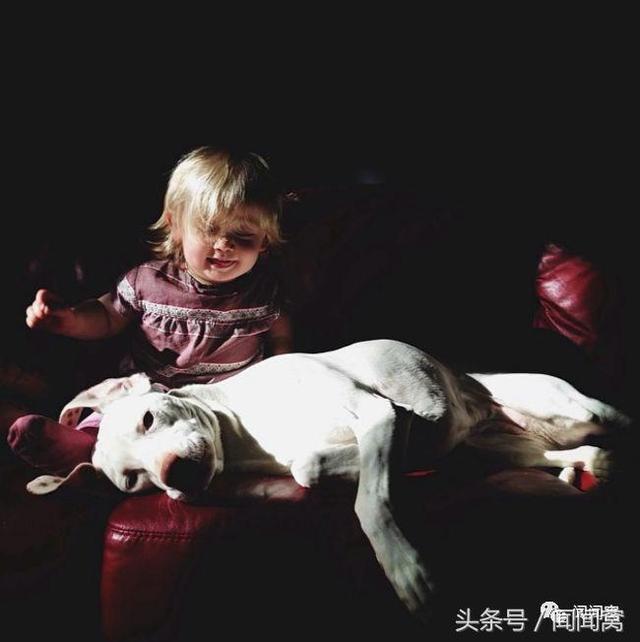 狗狗慘遭虐待，封閉自己……直到遇見她對Ta說：孩子別怕，帶你回家