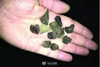 一男子下毒害狗終被判刑！正義可能會晚來，但是永遠不會缺席