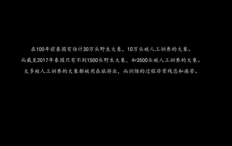 別騎大象了！　他潛入景點揭虐象黑幕「拿鉤子狠刺」　他心痛：大象永遠記得