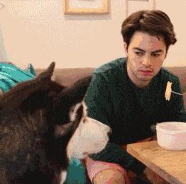 狗狗什麼時候的智商最高？
