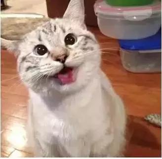 家長的一天！簡直太形象了，你是這樣子嗎？哈哈，笑死我了！
