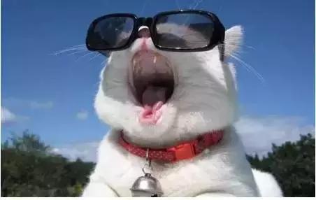 家長的一天！簡直太形象了，你是這樣子嗎？哈哈，笑死我了！