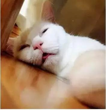 家長的一天！簡直太形象了，你是這樣子嗎？哈哈，笑死我了！