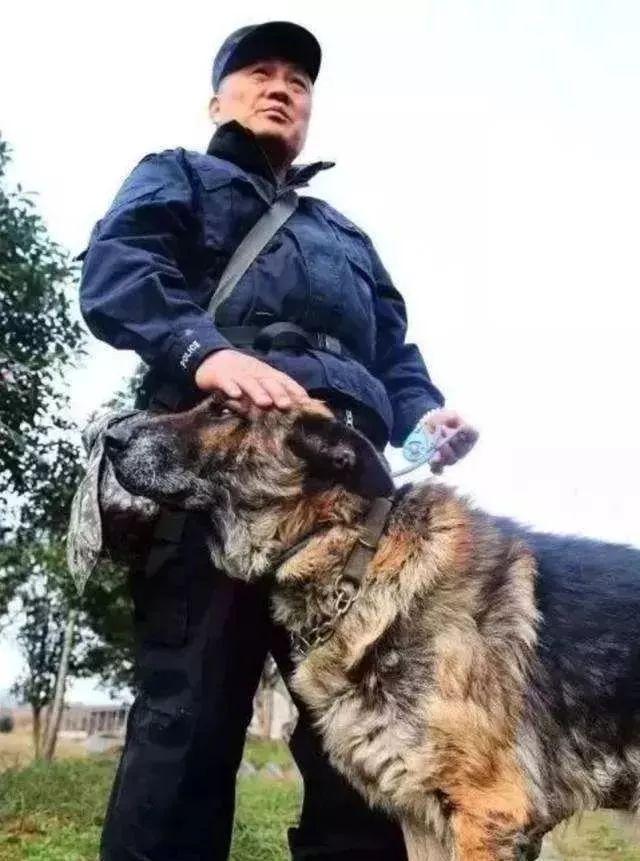 一生背負光榮與使命的警犬，卻沒能安享晚年……