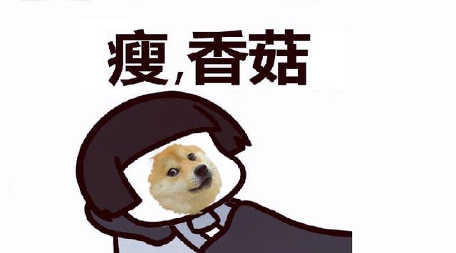 「您看我的狗瘦麼？」關於狗狗體重的疑問解析