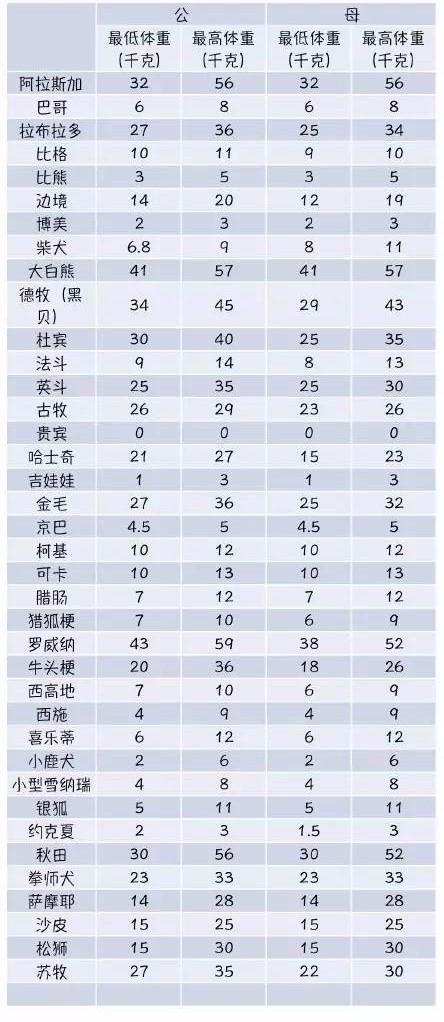 「您看我的狗瘦麼？」關於狗狗體重的疑問解析