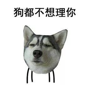 你家狗狗夠不夠健康，只要看這10點就知道啦