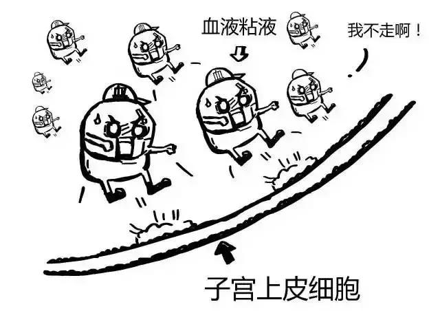 狗狗屁股流血還意圖做不可描述之事？它是怎麼了？