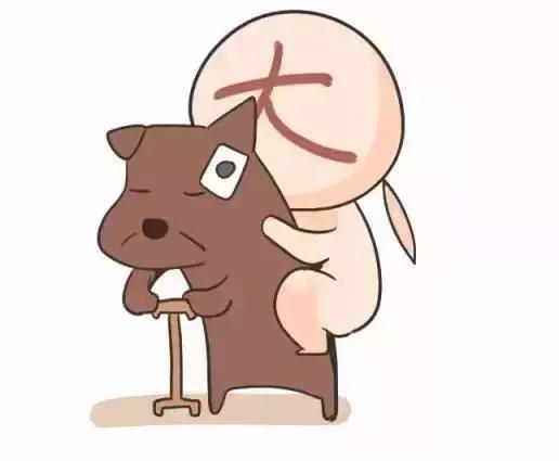 狗狗屁股流血還意圖做不可描述之事？它是怎麼了？
