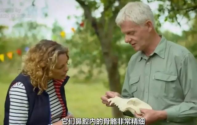 狗狗討人喜愛的秘密，居然是因為鼻子