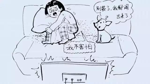 狗狗討人喜愛的秘密，居然是因為鼻子