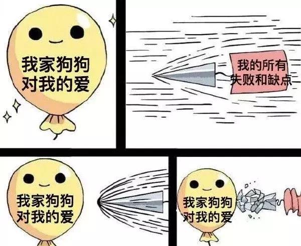 狗狗討人喜愛的秘密，居然是因為鼻子