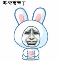 找不到二哈，出門抬頭一看，顫抖著手撥打了119