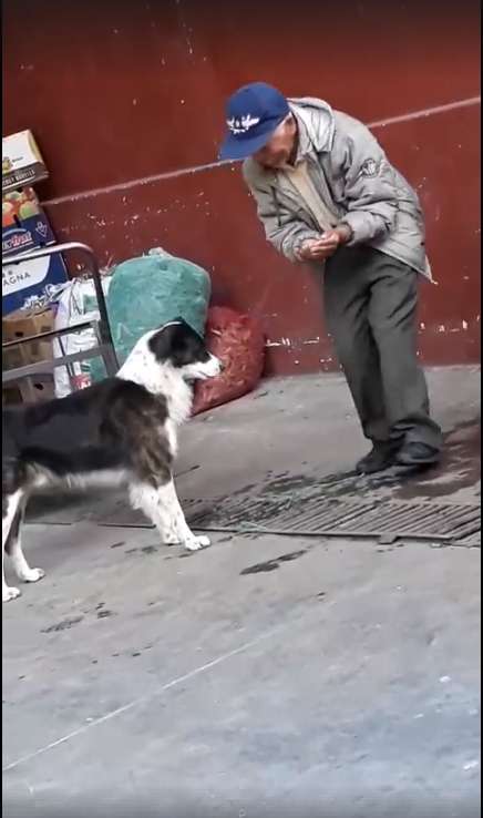 洗手台太高！　老人雙手捧水給狗狗喝　溫柔關切：還會不會渴？