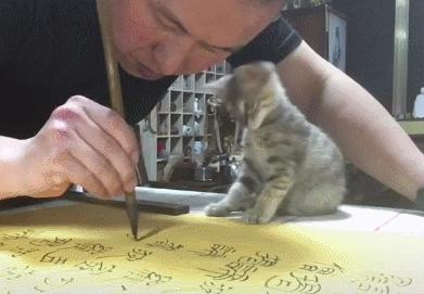 一人一貓一世界，主人全神貫注練書法，懵懂小貓全程作陪，超暖