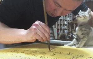 一人一貓一世界，主人全神貫注練書法，懵懂小貓全程作陪，超暖