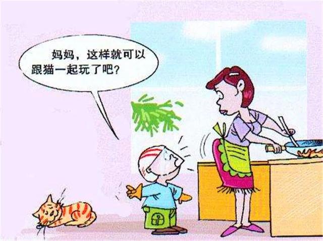 吸貓後竟染上疾病，鏟屎官需學會三種防治方法，遠離「貓病」