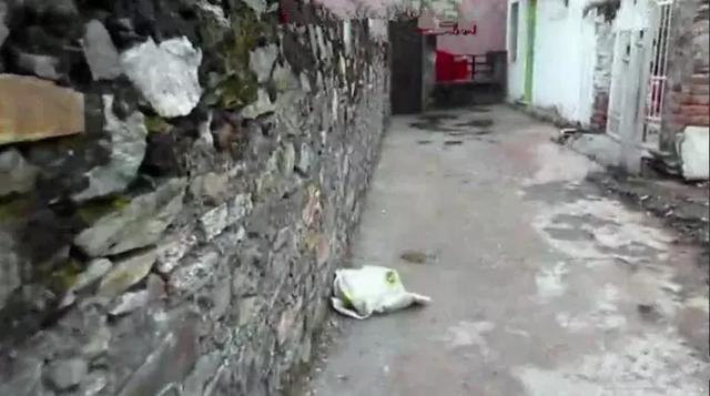 流浪狗滿身傷病被救助，志願者細心照顧，六周後狗狗恢復笑容