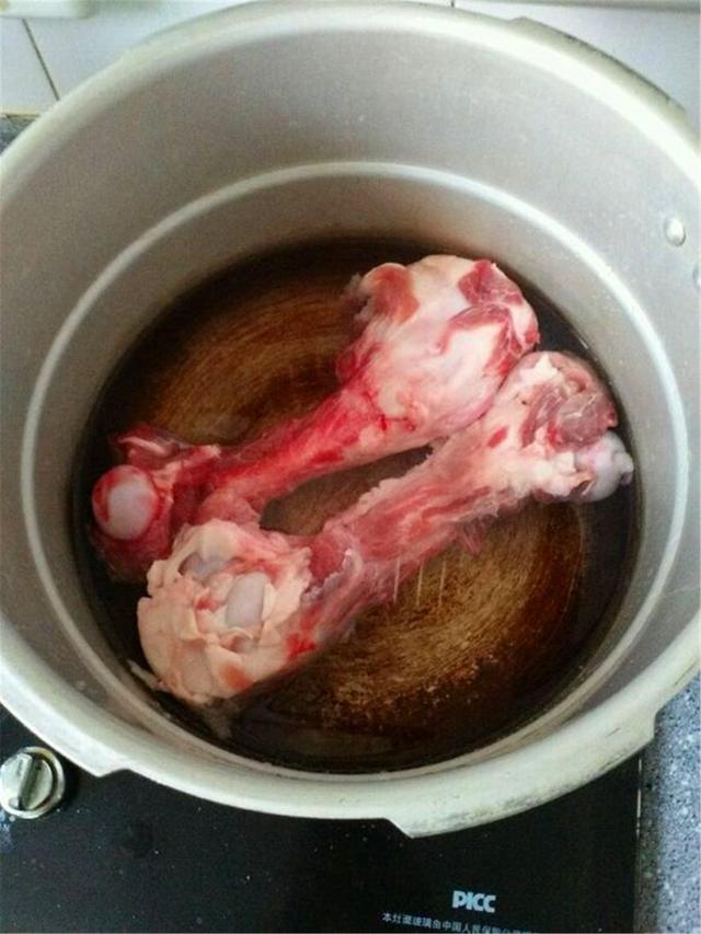 寵物狗矯情到不能吃骨頭？面對寵物世紀話題，狗狗有話要講