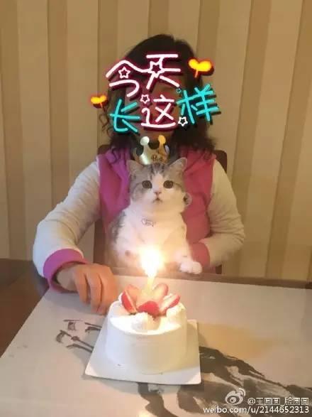 出一張嘴！那些說「養寵物哩丟災系」的爸媽　現在全「惜命命」：別帶走我金孫