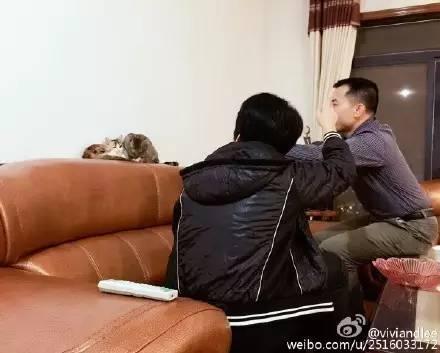 出一張嘴！那些說「養寵物哩丟災系」的爸媽　現在全「惜命命」：別帶走我金孫