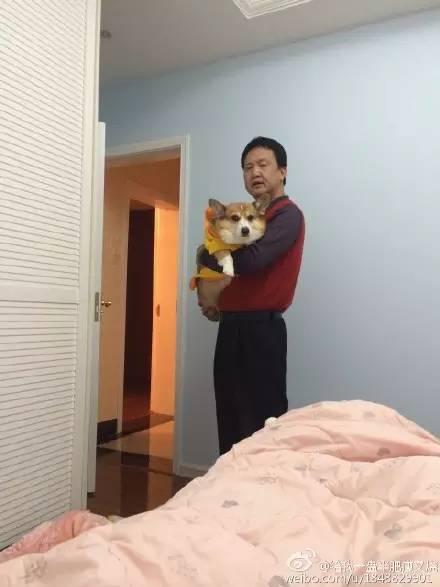 出一張嘴！那些說「養寵物哩丟災系」的爸媽　現在全「惜命命」：別帶走我金孫