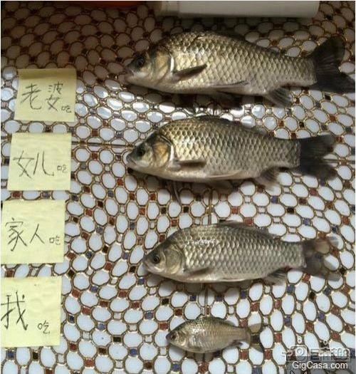 27張超級爆笑雷人妹子大圖集： 妹子發現啥了,這樣看著我都臉紅了！ 最後一張笑到褲子都濕透了啦。