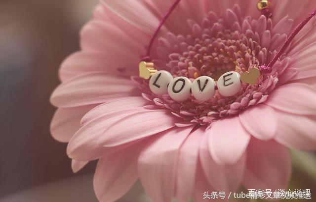 心理測試：第一眼看到什麼，測試在愛情中你有多盲目？