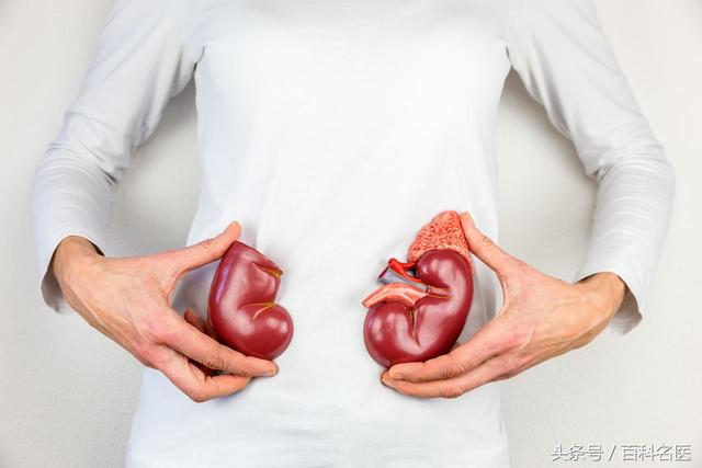 人老了以後腎臟會有什麼改變？如何保養腎臟？