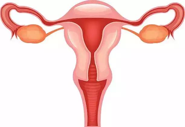卵巢癌成「婦科第一癌」！6大危險因素，幾乎每個女性都可能中招