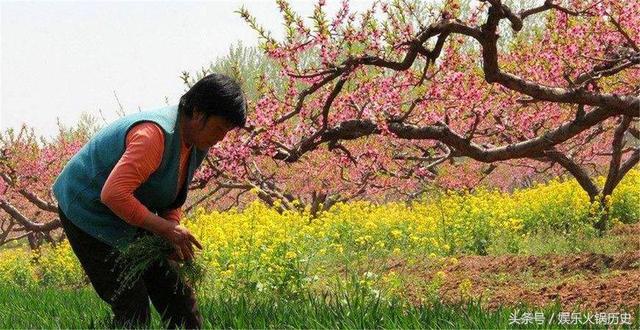 老祖宗的智慧：為什麼說外甥是狗，窮不過三代是真的麼？有啥說法