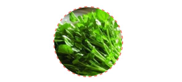 這5種食物最有益於牙齒健康